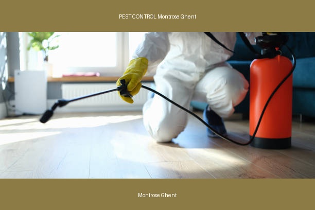 PEST CONTROL Montrose Ghent